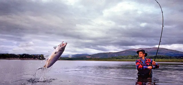 Panduan Cara Memancing di Laplace M, Mancing Mania? Mantab!