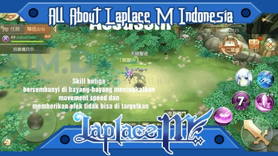Panduan Assassin Laplace M