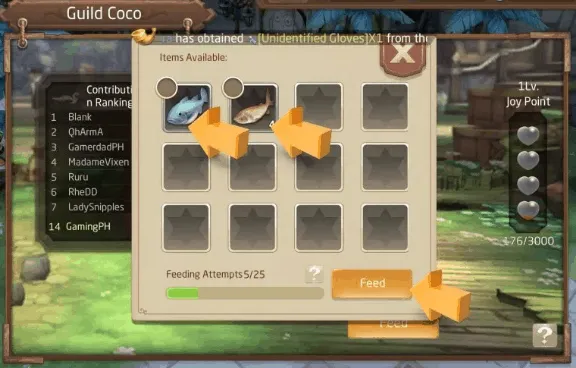 Feed Coco Laplace M
