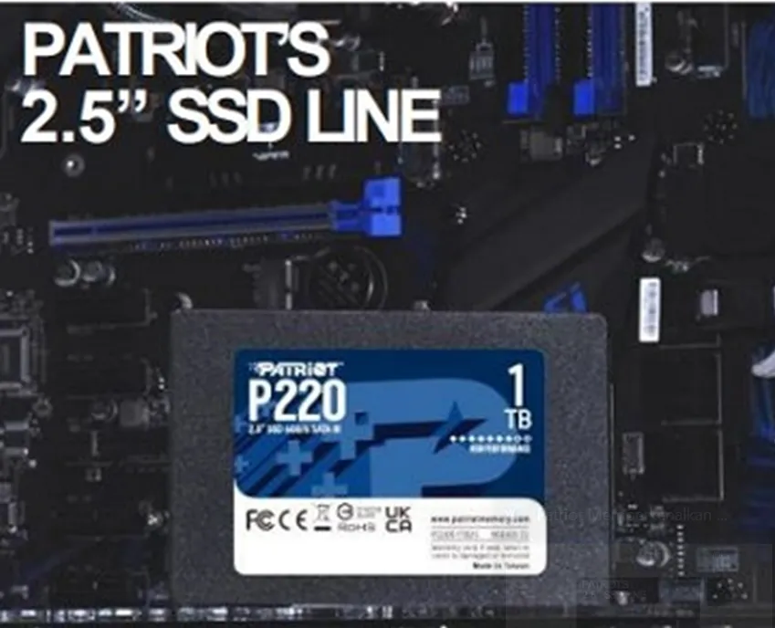 P220 SATA 3 yang Dahsyat!