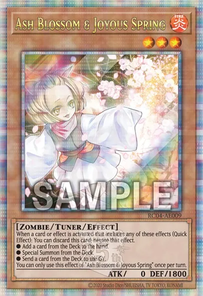 Yu-Gi-Oh! OCG Duel Monsters RARITY COLLECTION -QUARTER CENTURY EDITION